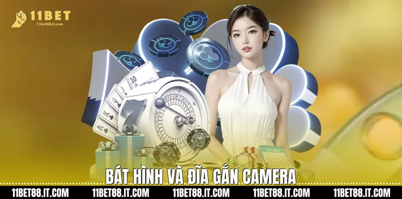 Bát hình và đĩa gắn camera