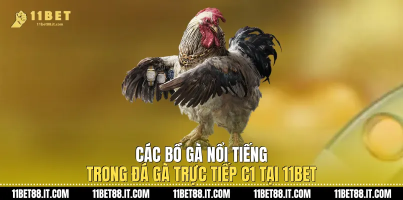 Các bồ gà nổi tiếng trong Đá gà trực tiếp C1 tại 11Bet