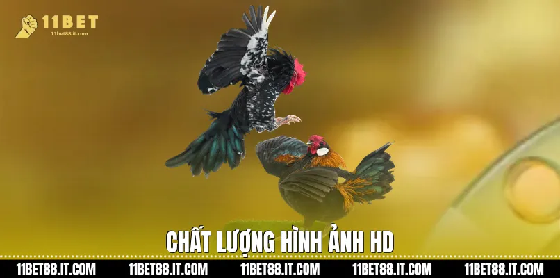 Chất lượng hình ảnh HD