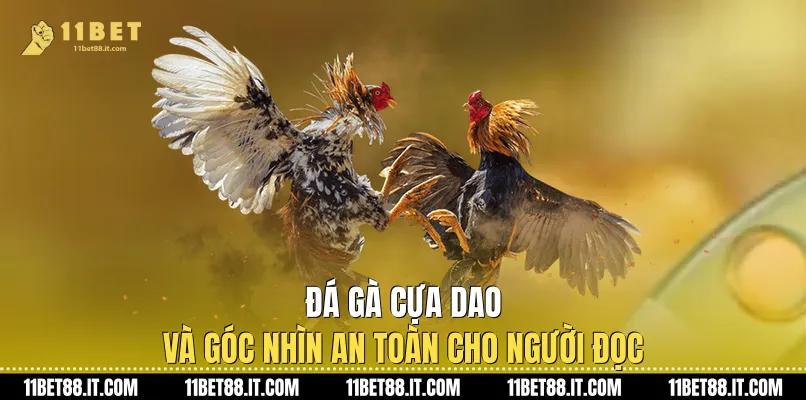 Đá Gà Cựa Dao