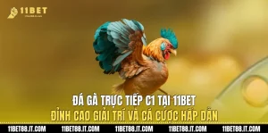 Đá Gà Trực Tiếp C1