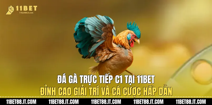 Đá Gà Trực Tiếp C1