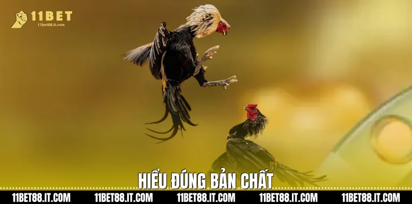 Hiểu đúng bản chất