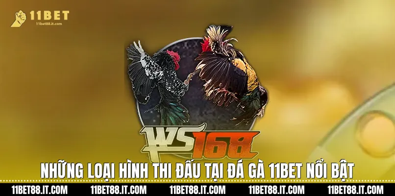 Những loại hình thi đấu tại Đá gà 11Bet nổi bật