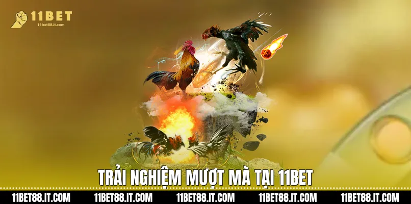 Trải Nghiệm Mượt Mà Tại 11Bet