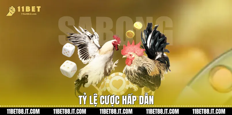 Tỷ lệ cược hấp dẫn
